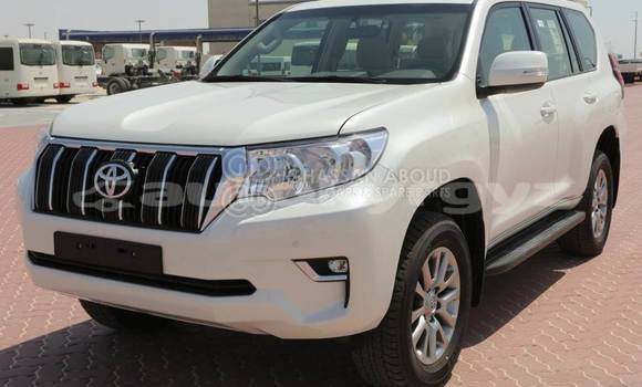 Buy Import Toyota Allex Black Car in Import - Dubai in Batken