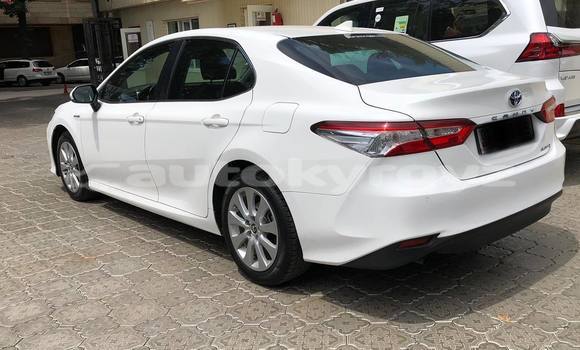 Buy Used Toyota Camry White Car in Bishkek in Bishkek Buy Used Toyota Camry White Car in Bishkek in Bishkek