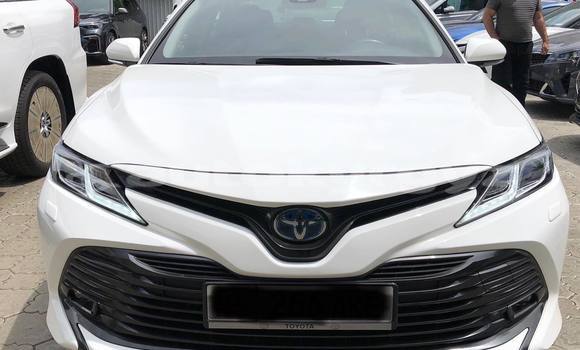 Buy Used Toyota Camry White Car in Bishkek in Bishkek Buy Used Toyota Camry White Car in Bishkek in Bishkek