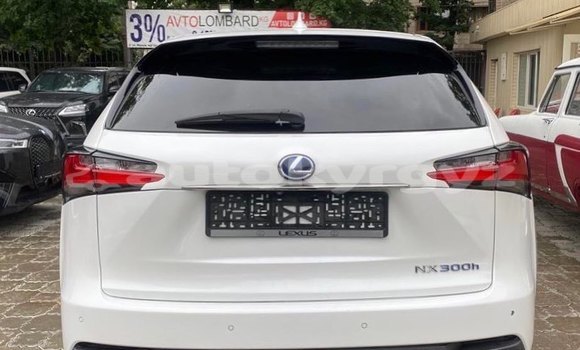 Buy Used Lexus NX White Car in Bishkek in Bishkek Buy Used Lexus NX White Car in Bishkek in Bishkek