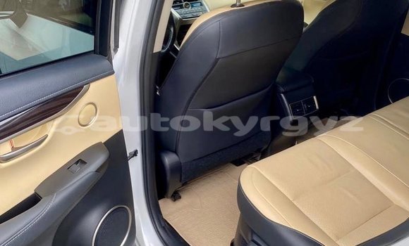 Buy Used Lexus NX White Car in Bishkek in Bishkek Buy Used Lexus NX White Car in Bishkek in Bishkek