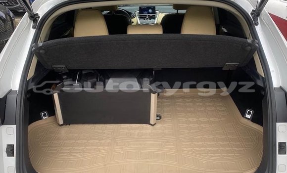 Buy Used Lexus NX White Car in Bishkek in Bishkek Buy Used Lexus NX White Car in Bishkek in Bishkek