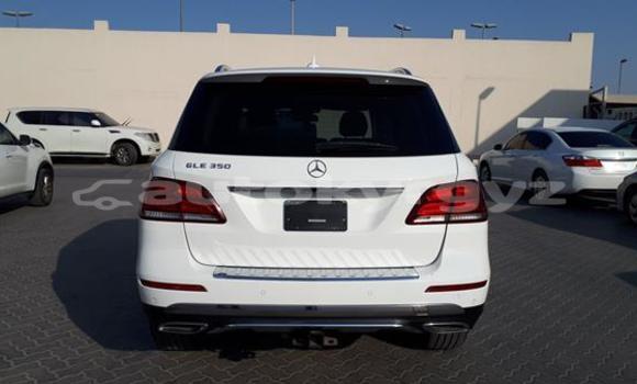 Buy Used Mercedes-Benz GLE White Car in Bishkek in Bishkek