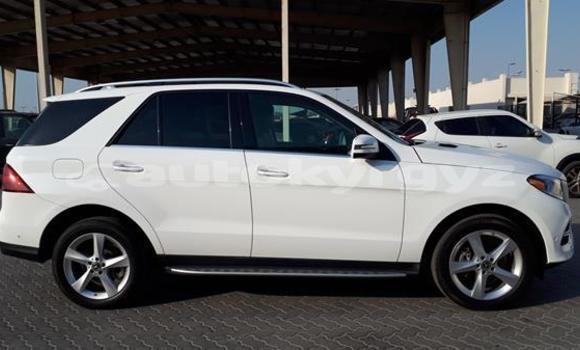 Buy Used Mercedes-Benz GLE White Car in Bishkek in Bishkek Buy Used Mercedes-Benz GLE White Car in Bishkek in Bishkek