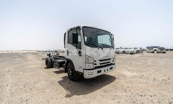 Buy New Isuzu NPR 85H White Truck in Import - Dubai in Batken Buy New Isuzu NPR 85H White Truck in Import - Dubai in Batken
