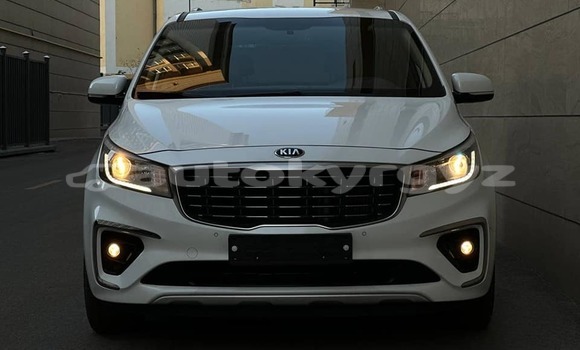 Buy Used Kia Carnival White Car in Bishkek in Bishkek Buy Used Kia Carnival White Car in Bishkek in Bishkek