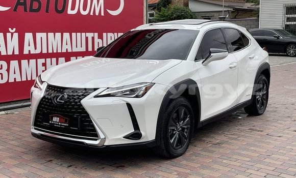 Buy Used Lexus UX White Car in Bishkek in Bishkek Buy Used Lexus UX White Car in Bishkek in Bishkek