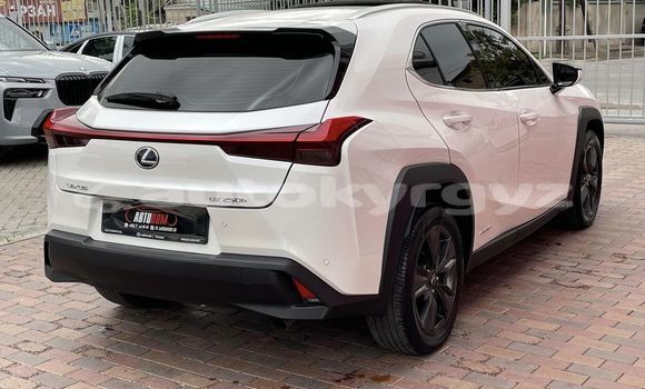 Buy Used Lexus UX White Car in Bishkek in Bishkek Buy Used Lexus UX White Car in Bishkek in Bishkek