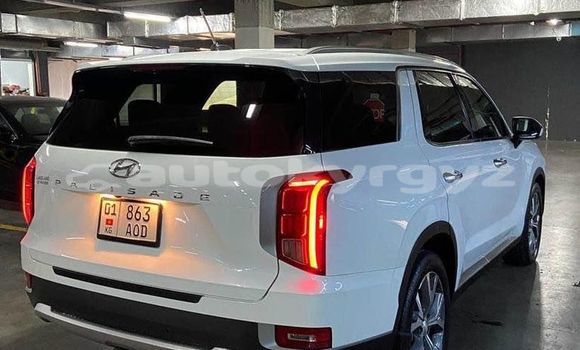 Buy Used Hyundai Avante White Car in Bishkek in Bishkek Buy Used Hyundai Avante White Car in Bishkek in Bishkek