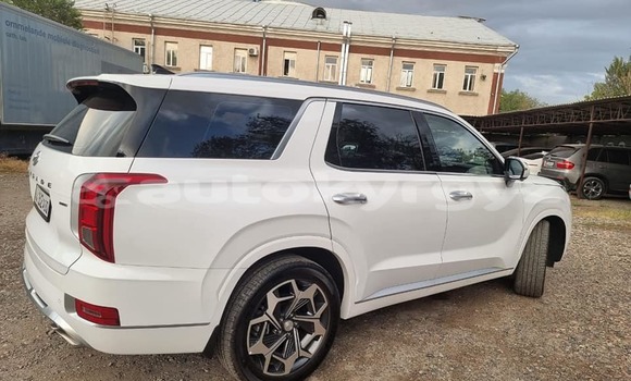 Buy Used Hyundai Pony White Car in Bishkek in Bishkek Buy Used Hyundai Pony White Car in Bishkek in Bishkek