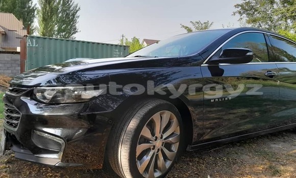 Buy Used Chevrolet Malibu Black Car in Bishkek in Bishkek Buy Used Chevrolet Malibu Black Car in Bishkek in Bishkek