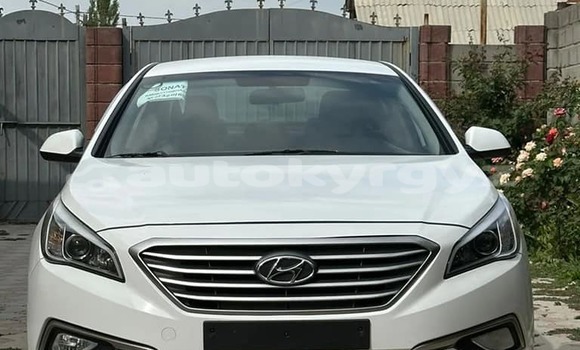 Buy Used Hyundai Santa Fe White Car in Bishkek in Bishkek Buy Used Hyundai Santa Fe White Car in Bishkek in Bishkek