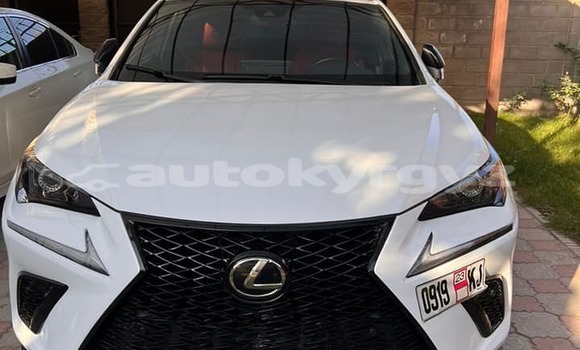 Buy Used Lexus NX White Car in Bishkek in Bishkek