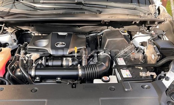 Buy Used Lexus NX White Car in Bishkek in Bishkek Buy Used Lexus NX White Car in Bishkek in Bishkek