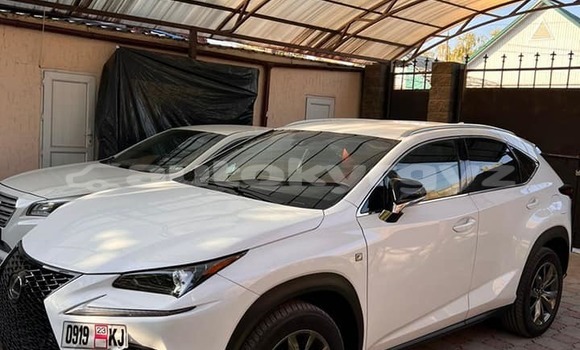 Buy Used Lexus NX White Car in Bishkek in Bishkek Buy Used Lexus NX White Car in Bishkek in Bishkek