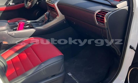 Buy Used Lexus NX White Car in Bishkek in Bishkek Buy Used Lexus NX White Car in Bishkek in Bishkek