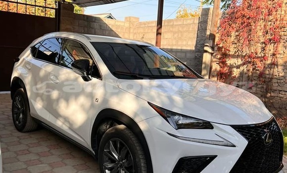 Buy Used Lexus NX White Car in Bishkek in Bishkek Buy Used Lexus NX White Car in Bishkek in Bishkek