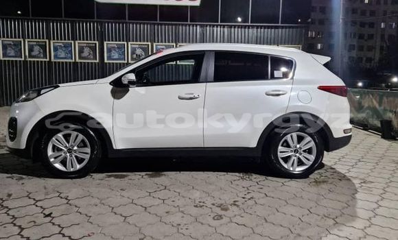 Buy Used Kia Sportage White Car in Bishkek in Bishkek Buy Used Kia Sportage White Car in Bishkek in Bishkek