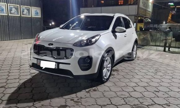 Buy Used Kia Sportage White Car in Bishkek in Bishkek Buy Used Kia Sportage White Car in Bishkek in Bishkek