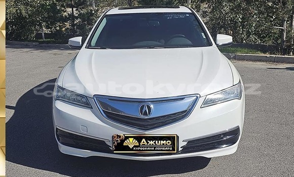 Buy Used Acura TLX White Car in Bishkek in Bishkek