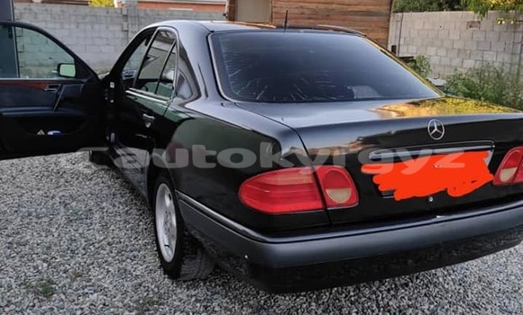 Buy Used Mercedes-Benz C–Class Black Car in Bishkek in Bishkek Buy Used Mercedes-Benz C–Class Black Car in Bishkek in Bishkek
