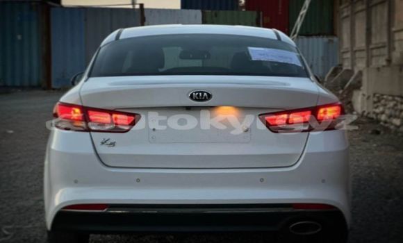 Buy Used Kia K5 White Car in Bishkek in Bishkek Buy Used Kia K5 White Car in Bishkek in Bishkek