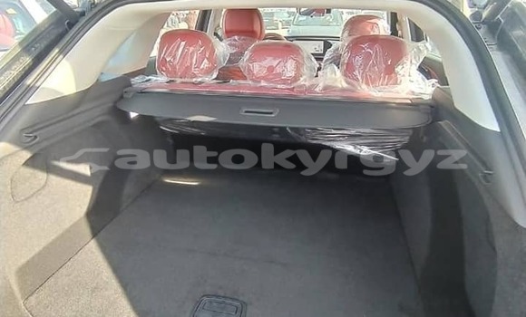 Buy Used Lexus RX White Car in Balykchy in Issyk-Kul Buy Used Lexus RX White Car in Balykchy in Issyk-Kul