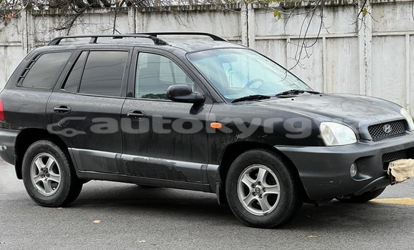 Buy Used Hyundai Santa Fe Black Car in Bishkek in Bishkek Buy Used Hyundai Santa Fe Black Car in Bishkek in Bishkek