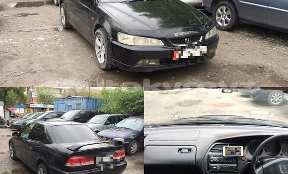 Buy Used Honda Accord Black Car in Bishkek in Bishkek Buy Used Honda Accord Black Car in Bishkek in Bishkek