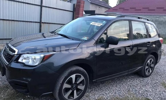 Buy Used Subaru Forester Black Car in Bishkek in Bishkek Buy Used Subaru Forester Black Car in Bishkek in Bishkek