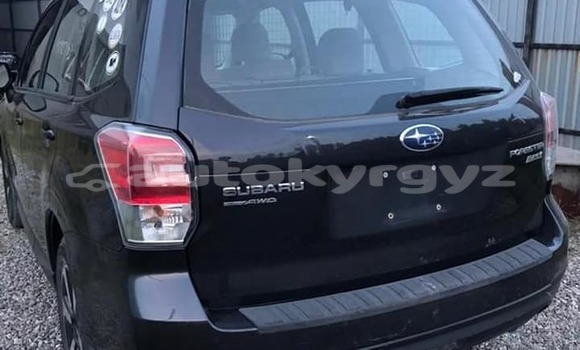 Buy Used Subaru Forester Black Car in Bishkek in Bishkek Buy Used Subaru Forester Black Car in Bishkek in Bishkek