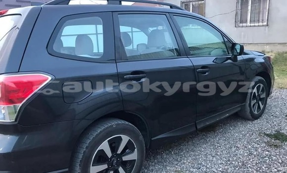 Buy Used Subaru Forester Black Car in Bishkek in Bishkek Buy Used Subaru Forester Black Car in Bishkek in Bishkek
