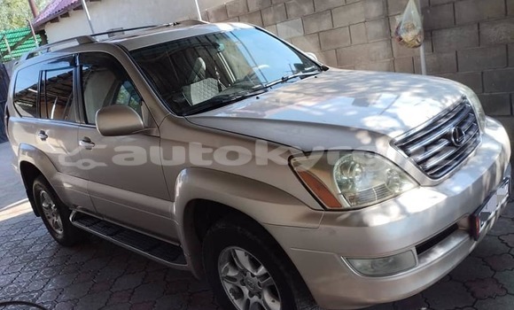 Buy Used Lexus GX Other Car in Bishkek in Bishkek Buy Used Lexus GX Other Car in Bishkek in Bishkek