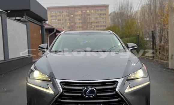 Buy Used Lexus RX Other Car in Bishkek in Bishkek Buy Used Lexus RX Other Car in Bishkek in Bishkek