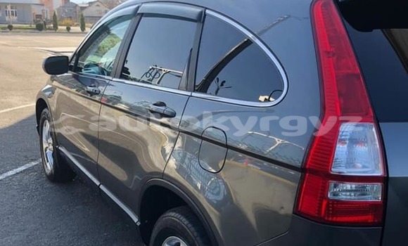 Buy Used Honda CR–V Other Car in Bishkek in Bishkek Buy Used Honda CR–V Other Car in Bishkek in Bishkek