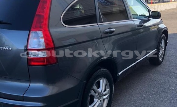 Buy Used Honda CR–V Other Car in Bishkek in Bishkek Buy Used Honda CR–V Other Car in Bishkek in Bishkek