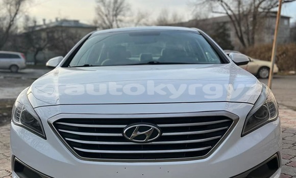 Buy Used BMW X7 White Car in Bishkek in Bishkek