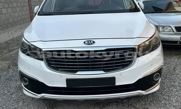 Buy Used Kia Carnival White Car in Bishkek in Bishkek