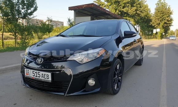 Buy Used Toyota Corolla Black Car in Bishkek in Bishkek Buy Used Toyota Corolla Black Car in Bishkek in Bishkek
