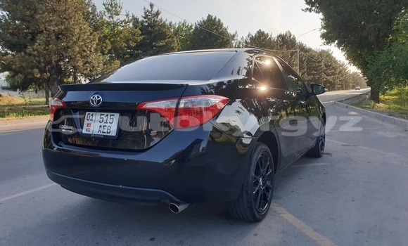 Buy Used Toyota Corolla Black Car in Bishkek in Bishkek Buy Used Toyota Corolla Black Car in Bishkek in Bishkek