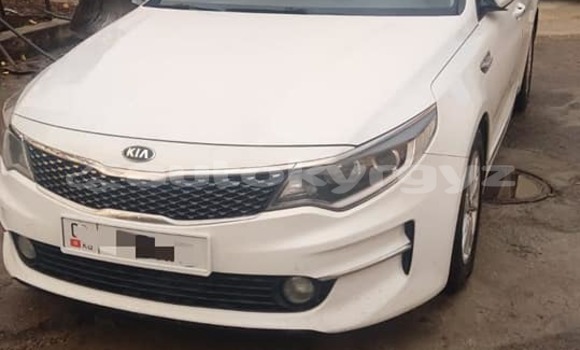 Buy Used Kia K5 White Car in Bishkek in Bishkek Buy Used Kia K5 White Car in Bishkek in Bishkek