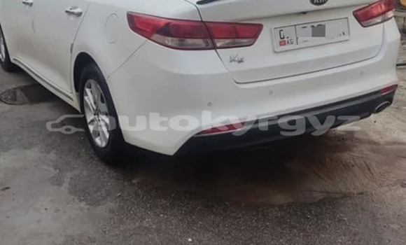 Buy Used Kia K5 White Car in Bishkek in Bishkek Buy Used Kia K5 White Car in Bishkek in Bishkek