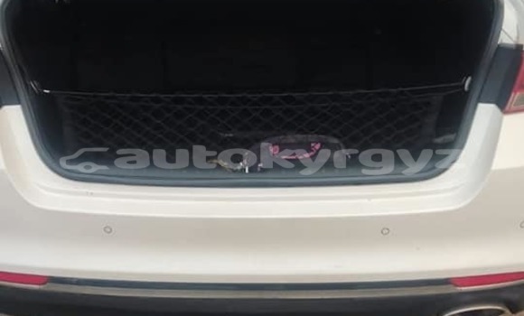 Buy Used Kia K5 White Car in Bishkek in Bishkek Buy Used Kia K5 White Car in Bishkek in Bishkek