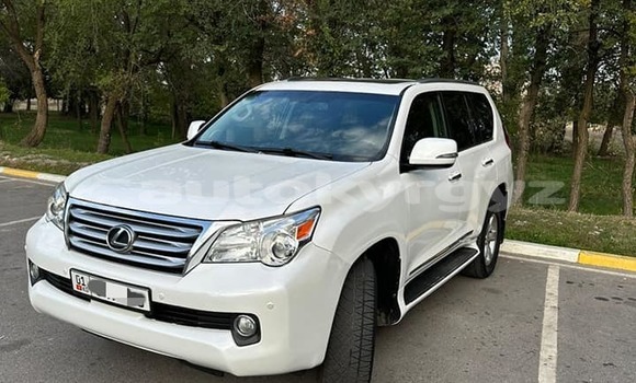 Buy Used Lexus GX White Car in Bishkek in Bishkek Buy Used Lexus GX White Car in Bishkek in Bishkek