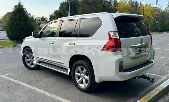 Buy Used Lexus GX White Car in Bishkek in Bishkek Buy Used Lexus GX White Car in Bishkek in Bishkek