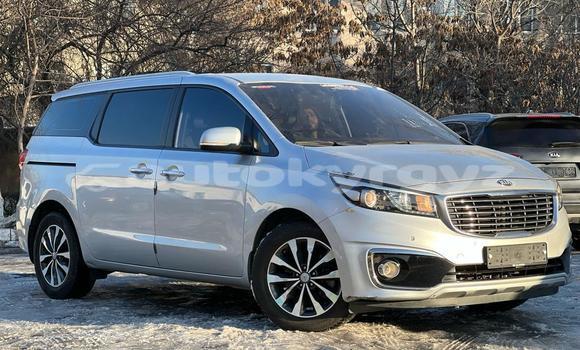 Buy Import Kia Carnival Silver Car in Bishkek in Bishkek Buy Import Kia Carnival Silver Car in Bishkek in Bishkek
