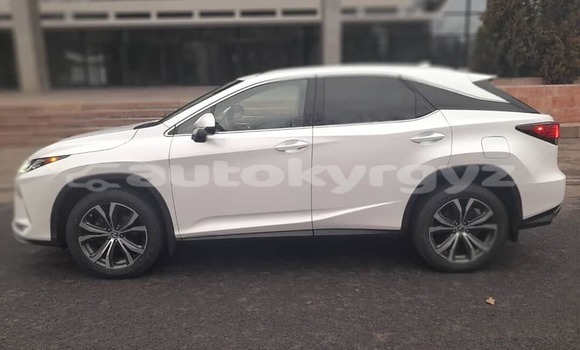 Buy Used Lexus RX 350 White Car in Ananyevo in Issyk-Kul Buy Used Lexus RX 350 White Car in Ananyevo in Issyk-Kul