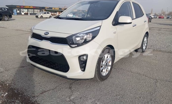 Buy Used Kia Morning White Car in Ala Buka in Jalal-Abad