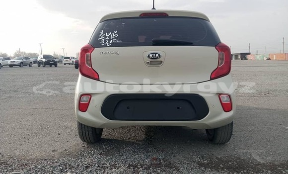 Buy Used Kia Morning White Car in Ala Buka in Jalal-Abad Buy Used Kia Morning White Car in Ala Buka in Jalal-Abad