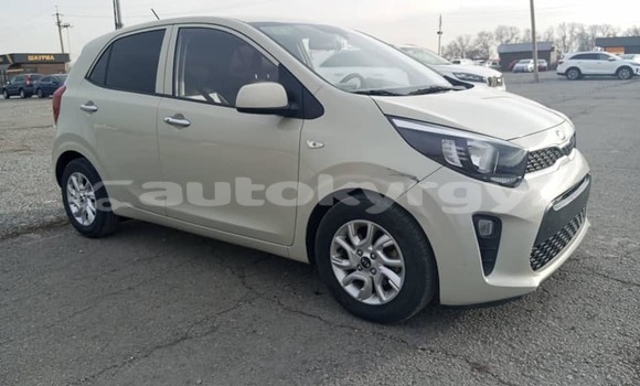 Buy Used Kia Morning White Car in Ala Buka in Jalal-Abad Buy Used Kia Morning White Car in Ala Buka in Jalal-Abad